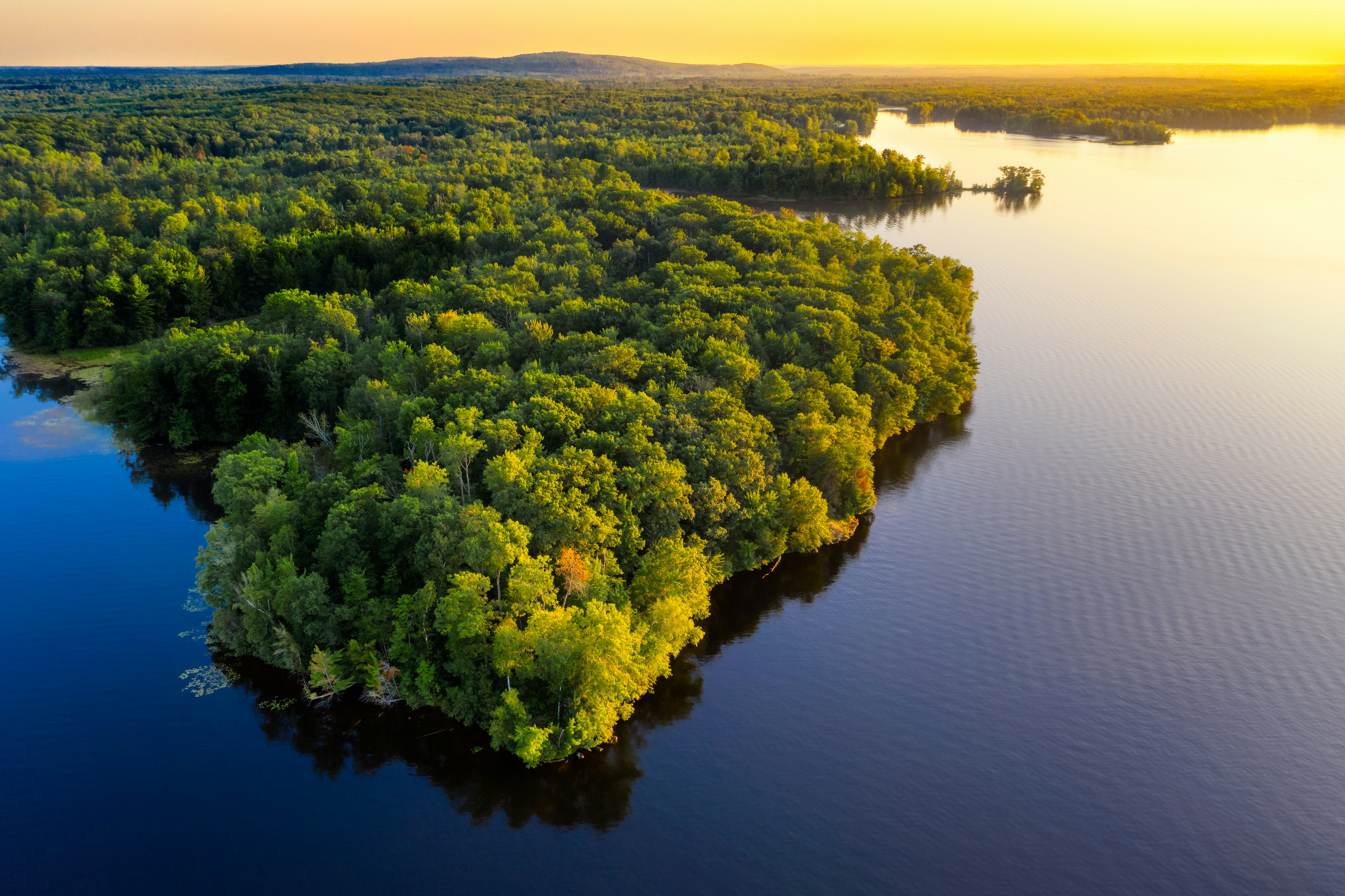Boats in Amazon Rainforest